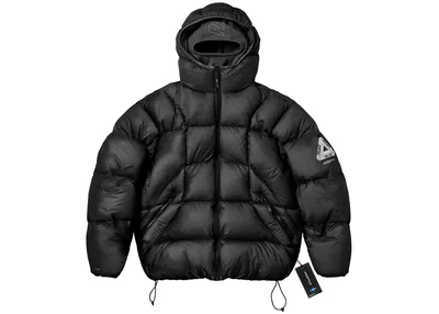 Palace Puffer