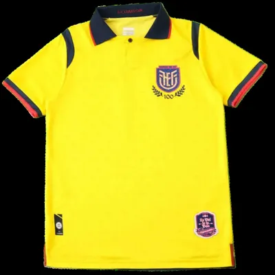 2526 season Ecuador away Fan version