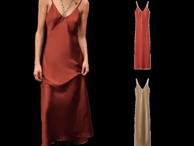 Zara Dress
