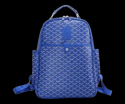 Goyard Bag