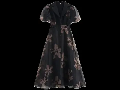 Zara Dress