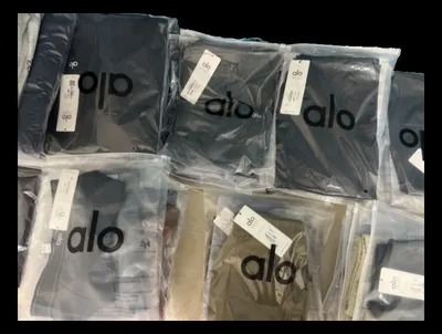 Alo Hoodie