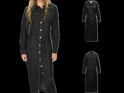 Zara Dress