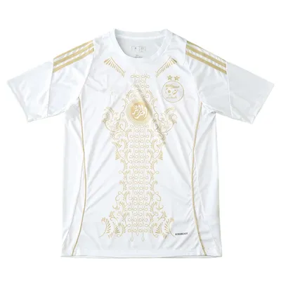 2425 season Algeria Concept version Fan version