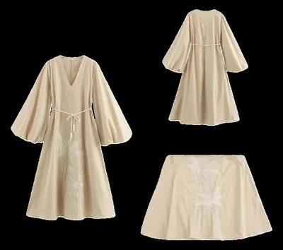 Zara Dress