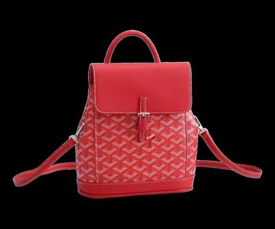 Goyard Bag