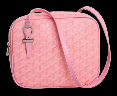 Goyard Bag
