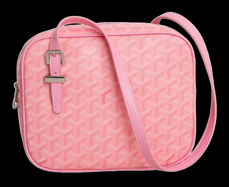 Goyard Bag