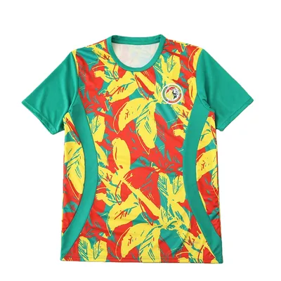 2526 season Senegal Training clothes Fan version