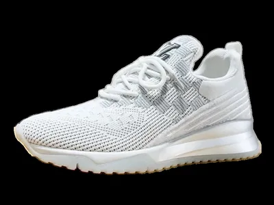 Louis Vuitton Shoes