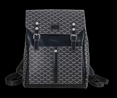 Goyard Bag