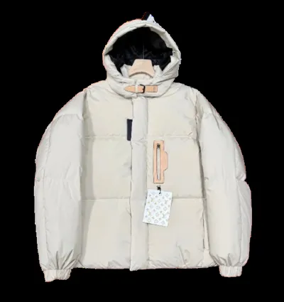 Louis Vuitton Down Jacket 2+ colorways [Premium Quality]