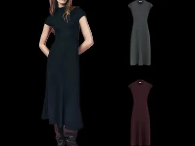 Zara Dress