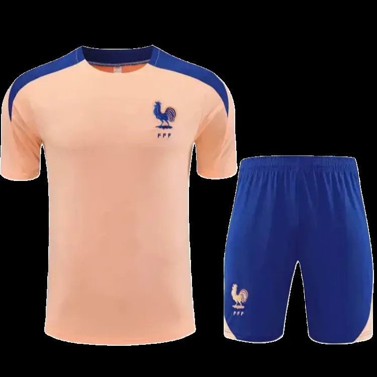 2526 season France Training clothes suit Short sleeve Fan version