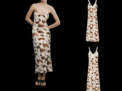 Zara Dress