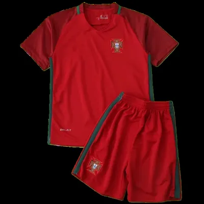 2016 season Portugal home Kids kit