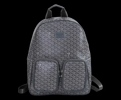 Goyard Bag