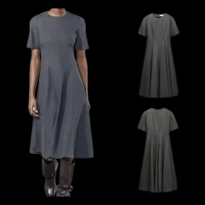 Zara Dress