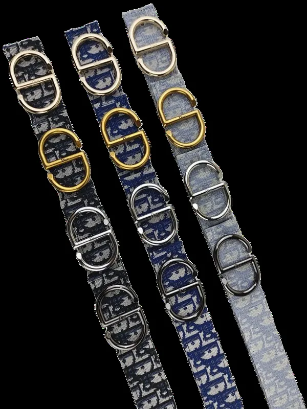 Dior Belt