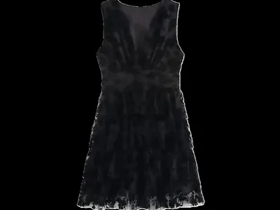 Zara Dress
