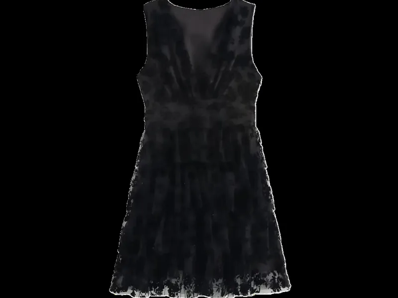 Zara Dress
