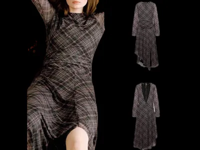 Zara Dress