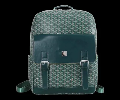 Goyard Bag