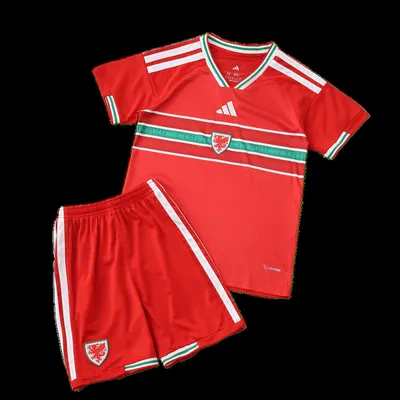 2026 FIFA World Cup Wales home Kids kit