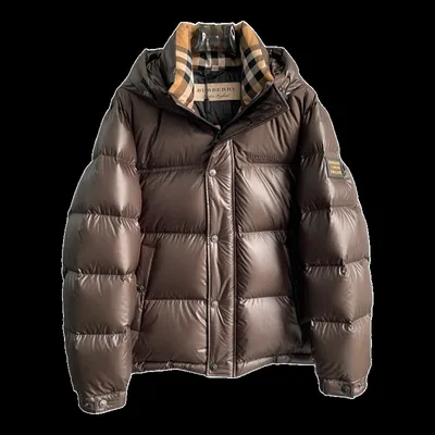 Burberry Down Jacket