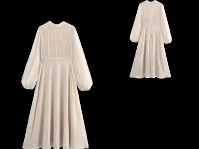 Zara Dress