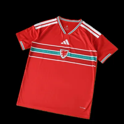 2026 FIFA World Cup Wales home Fan version