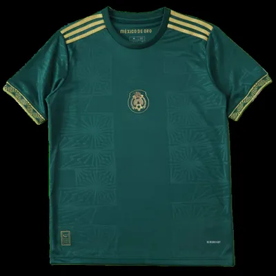 2526 season Mexico Concept version Fan version