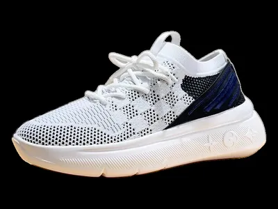 Louis Vuitton Shoes