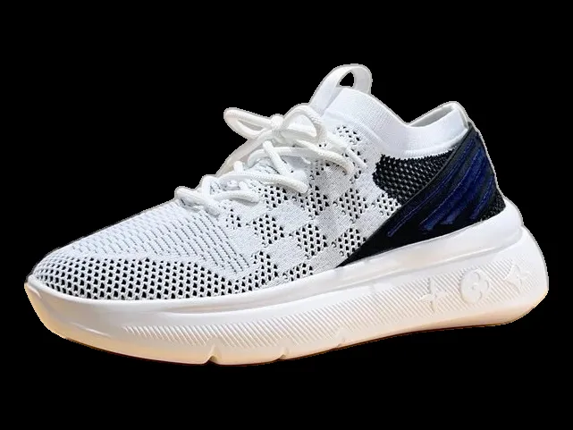 Louis Vuitton Shoes