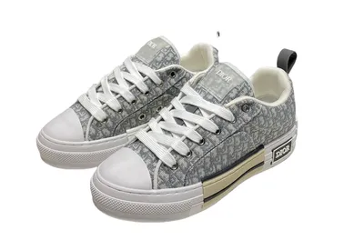 Dior 17+ colorways [Premium Quality]