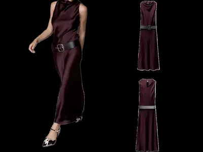 Zara Dress