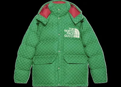 Gucci x The North Face Jacket
