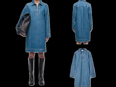 Zara Dress