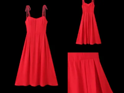 Zara Dress