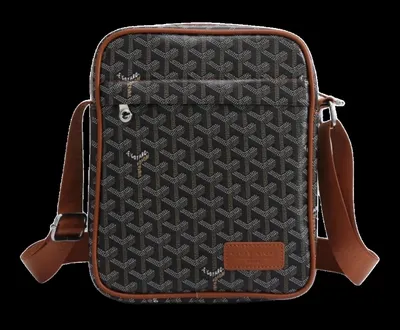 Goyard Bag