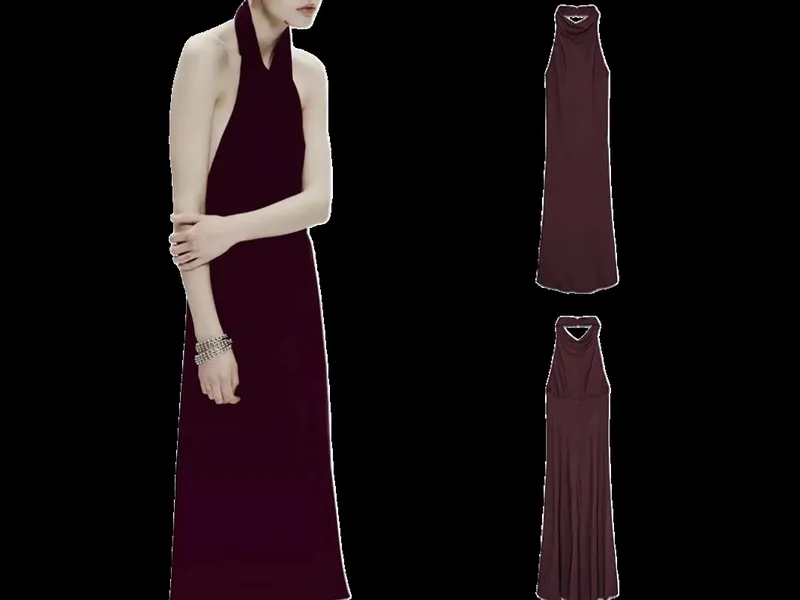 Zara Dress